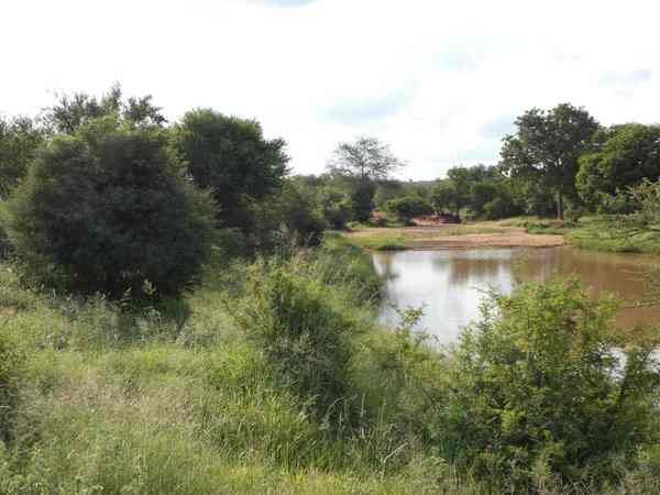 Uno de los tres dam del Hoedspruit wildlife estate